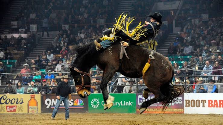 Austin Broderson Denver Rodeo Accident Video