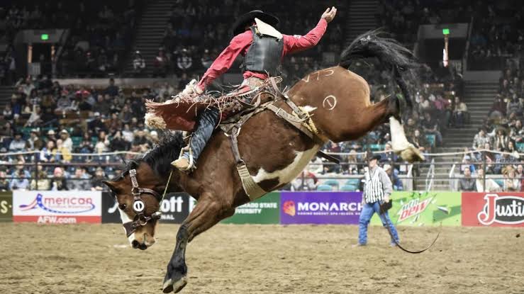 Austin Broderson Denver Rodeo Accident Video