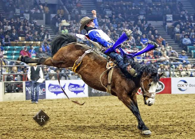 Austin Broderson Denver Rodeo Accident Video