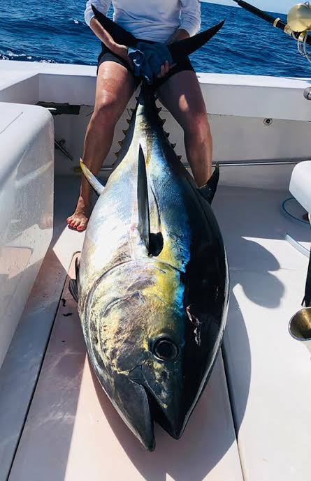 Dominican Republic Puerto Plata Tuna Leaked Video