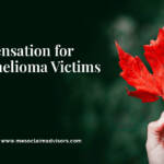Seeking Justice for Mesothelioma Victims in Japan: The Role of Specialized Attorneys