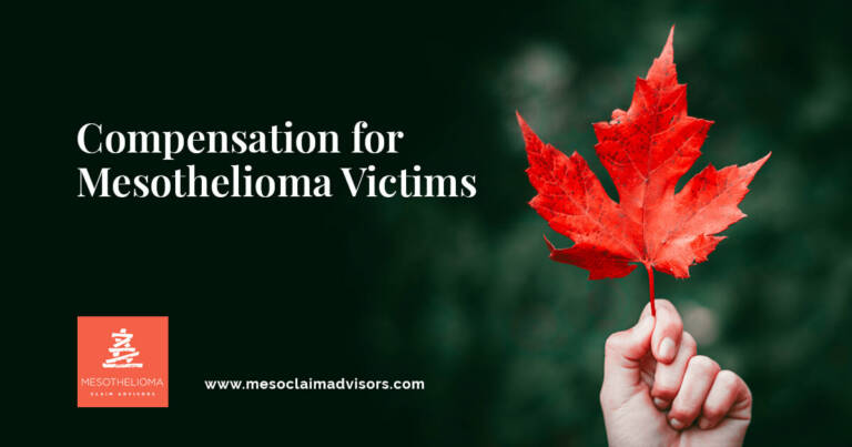 Seeking Justice for Mesothelioma Victims in Japan: The Role of Specialized Attorneys