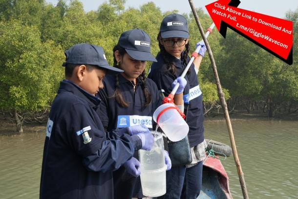 Sundarbans 2