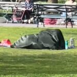 NYC Park Blanket Couple Video Goes Viral