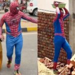 Spiderman, Spiderman viral video, trending, trending news, trending stories