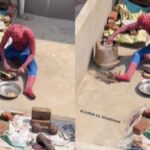 Spiderman viral video, viral video, trending, trending news, trending stories