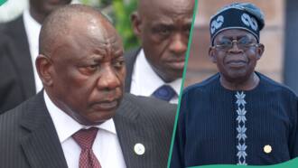 Tinubus Aide Defends Viral Video of Ramaphosa ‘Ignoring Tinubu ‘It